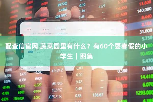 配查信官网 蔬菜园里有什么？有60个耍春假的小学生｜图集